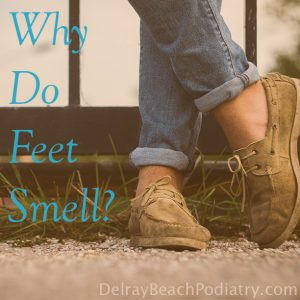 Why do feet smell?