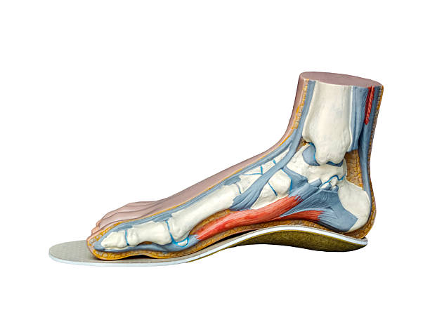 Treatment Options - Delray Beach Podiatry